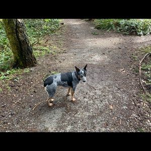 Meet your Posher, Barb